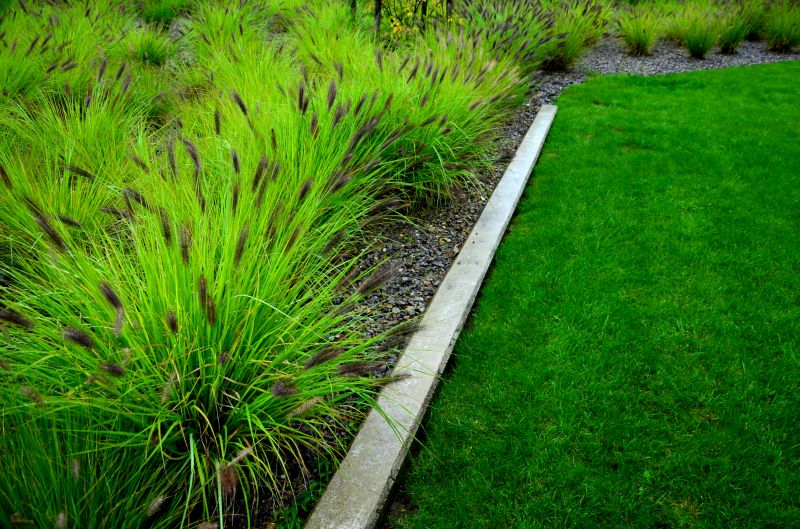 Concrete Border Installation in Webster, FL