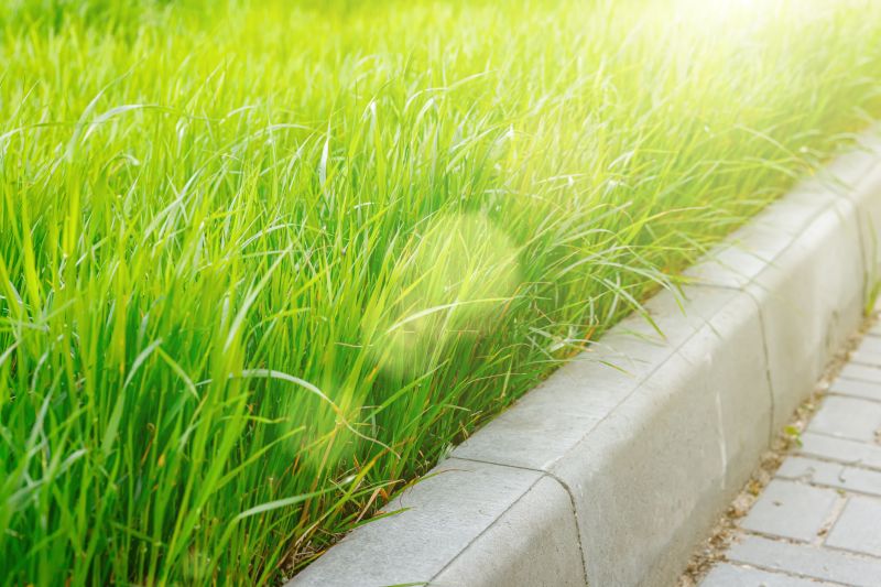 Concrete Edging Installation in Webster, FL