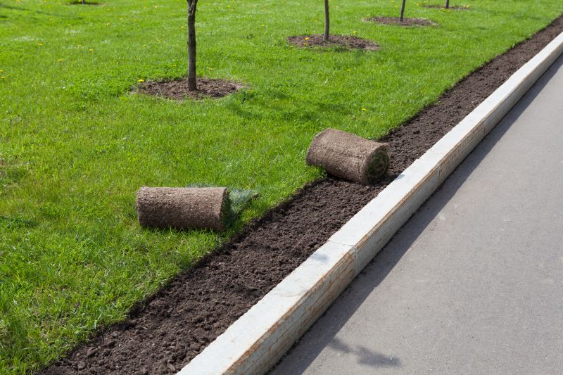 Curb Replacement in Brooksville, FL