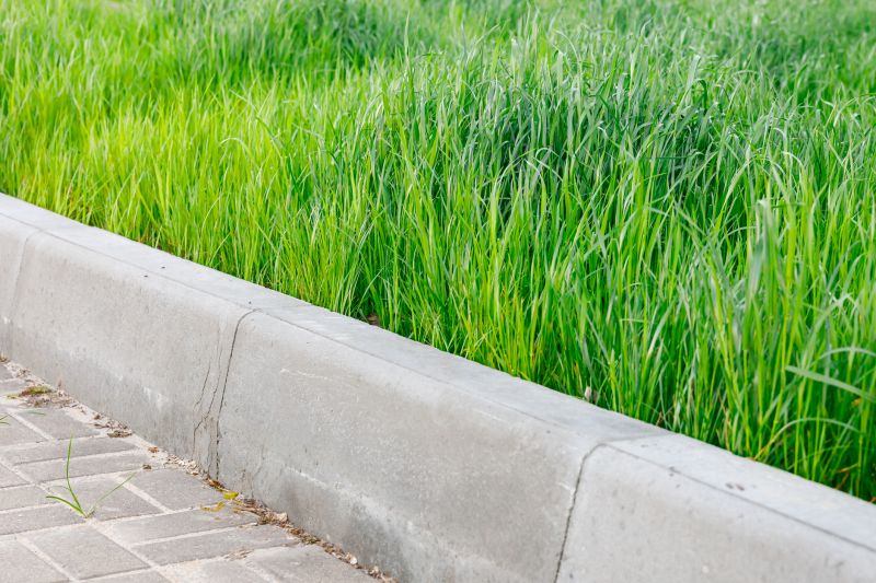 Curbs Installation in Lecanto, FL